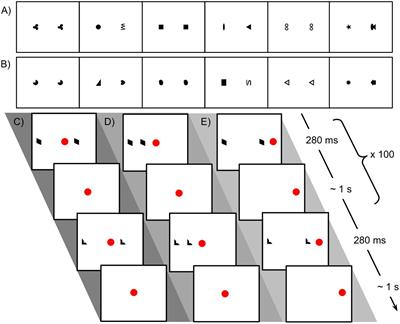 Split-Brain Babies? Differences in Representation of Bilaterally and Unilaterally Presented Visual Stimuli in Infancy